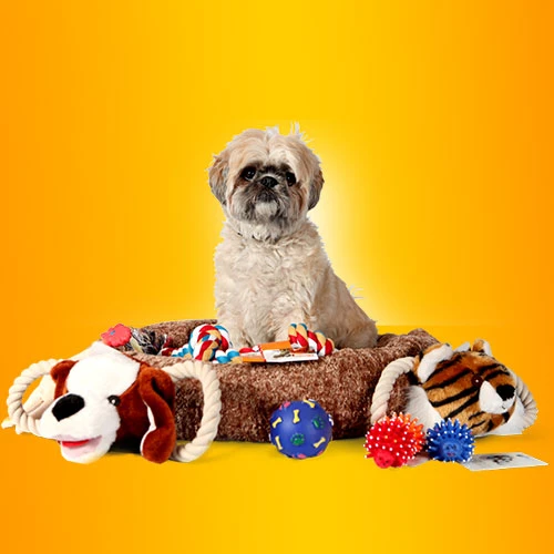Pet Supplies